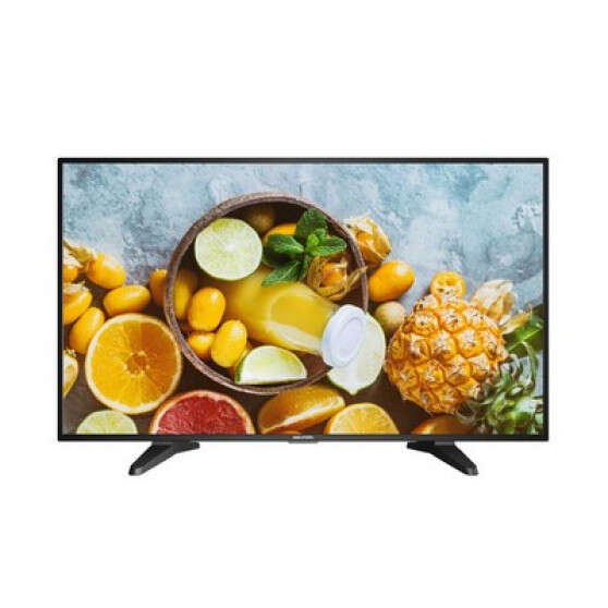 Moniteur 43" HDMI VGA 360cd VESA support inclus 7x24h