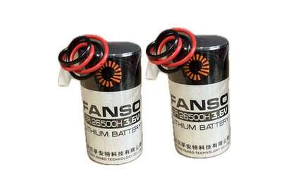 Batteries pour FOCAL - Pack de 2 piles PRODATEC