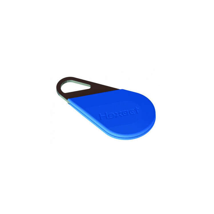 Hexacle de couleur bleue