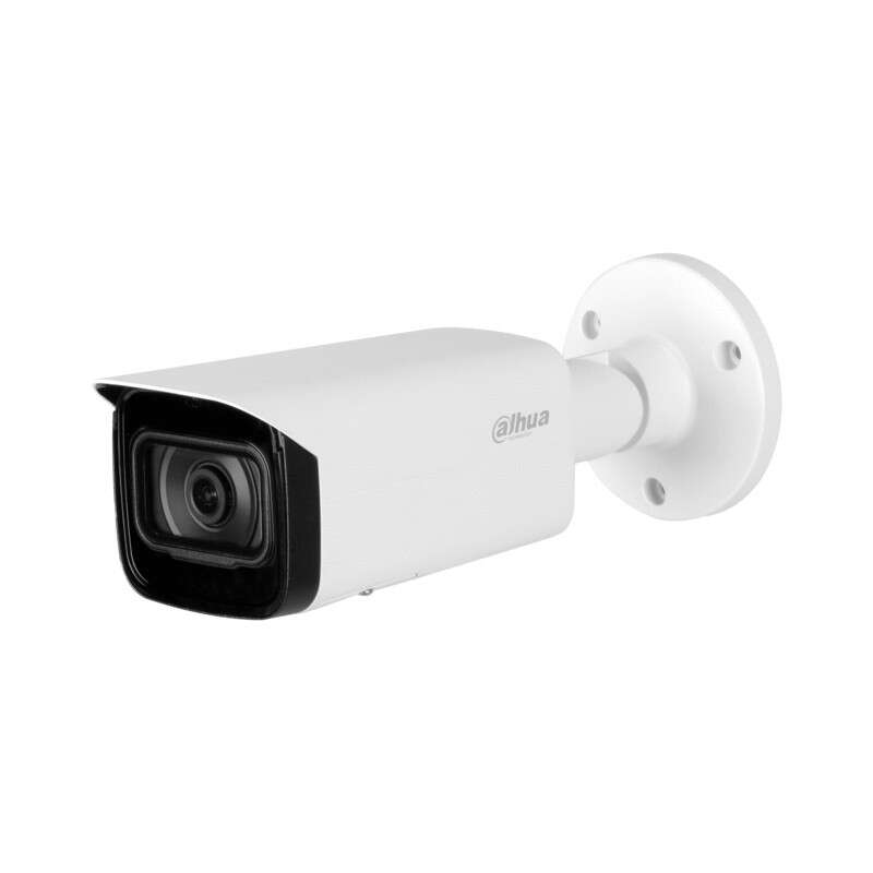 Caméra IP WizMind 2MP Obj2.8m IR80M IP67 IK10