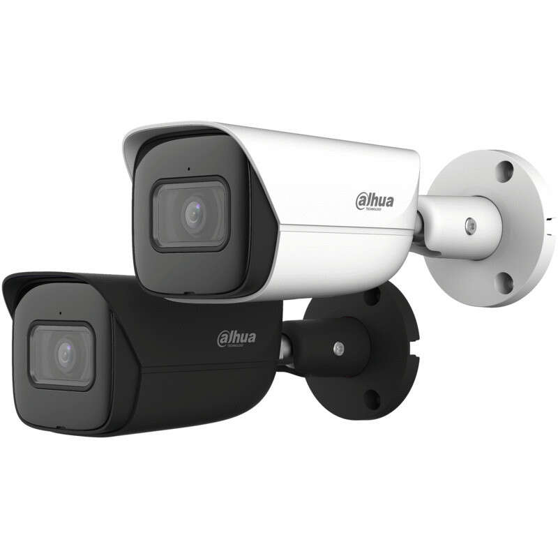Caméra IP WizMind 4MP Obj 2.8 mm IR50M IP67 ePOE