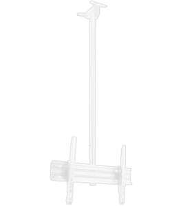 Support plafond BLANC pour écran 32 à 60 pouces - 50kg -