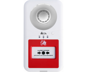 Tableau d'alarme incendie de type 4 - Autonome