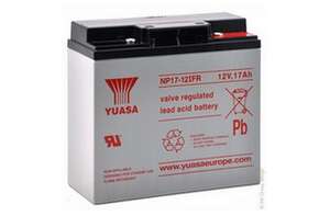 Visuel du produit Batterie YUASA 12V 17Ah version FR